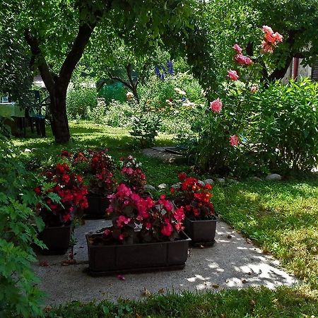 فندق سيتينييفي  La Vecchia Casa المظهر الخارجي الصورة