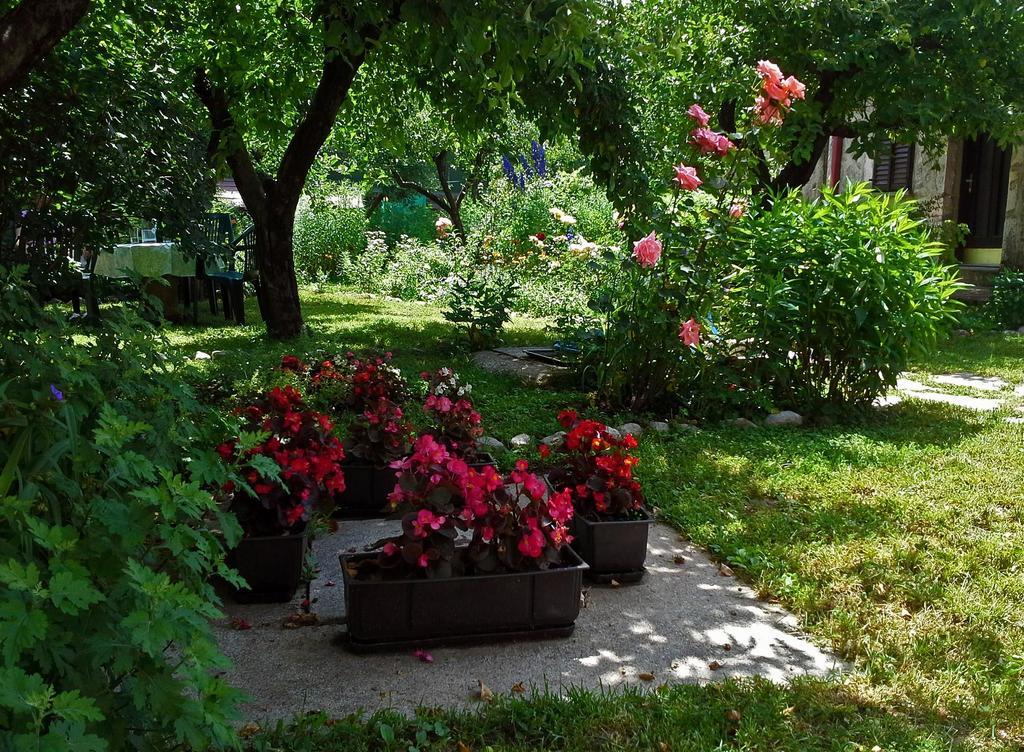 فندق سيتينييفي  La Vecchia Casa المظهر الخارجي الصورة